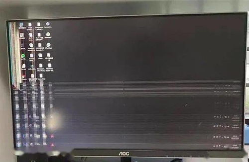 紙枷鎖的幽默懲戒，誰(shuí)家的貓像你一樣